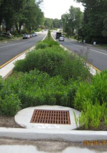 Bioretention in the street median in Arlington County, VA.