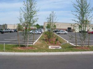 Parking Lot Bioretention Cell