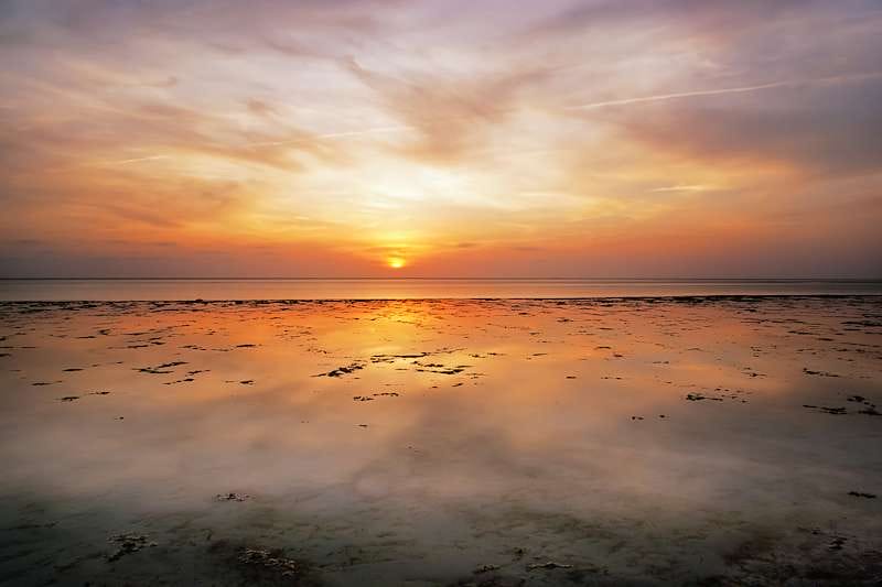Coastal Plain