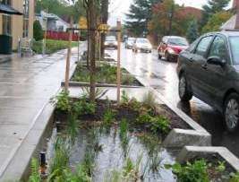 Curb extensions can be useful to reduce runoff into storm drains.