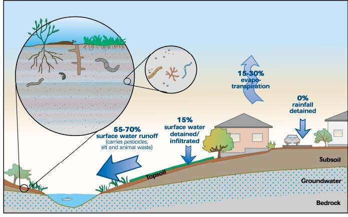 Disturbed soil after construction, illustrated by King Co. DNRP