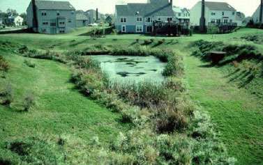Extended Detention Pond