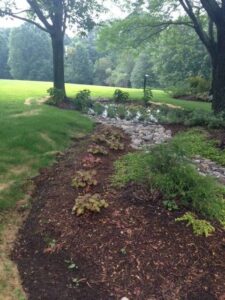 A beautiful residential rain garden in Howard County, MD