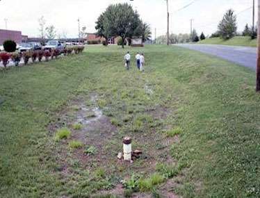 Stormwater Filter