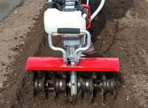 soil