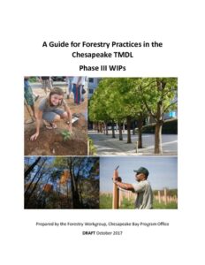 thumbnail of wip_forestry-bmp_guide