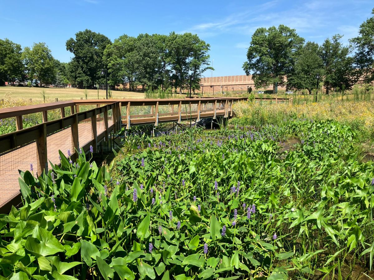 Image of Stormwater drainage system