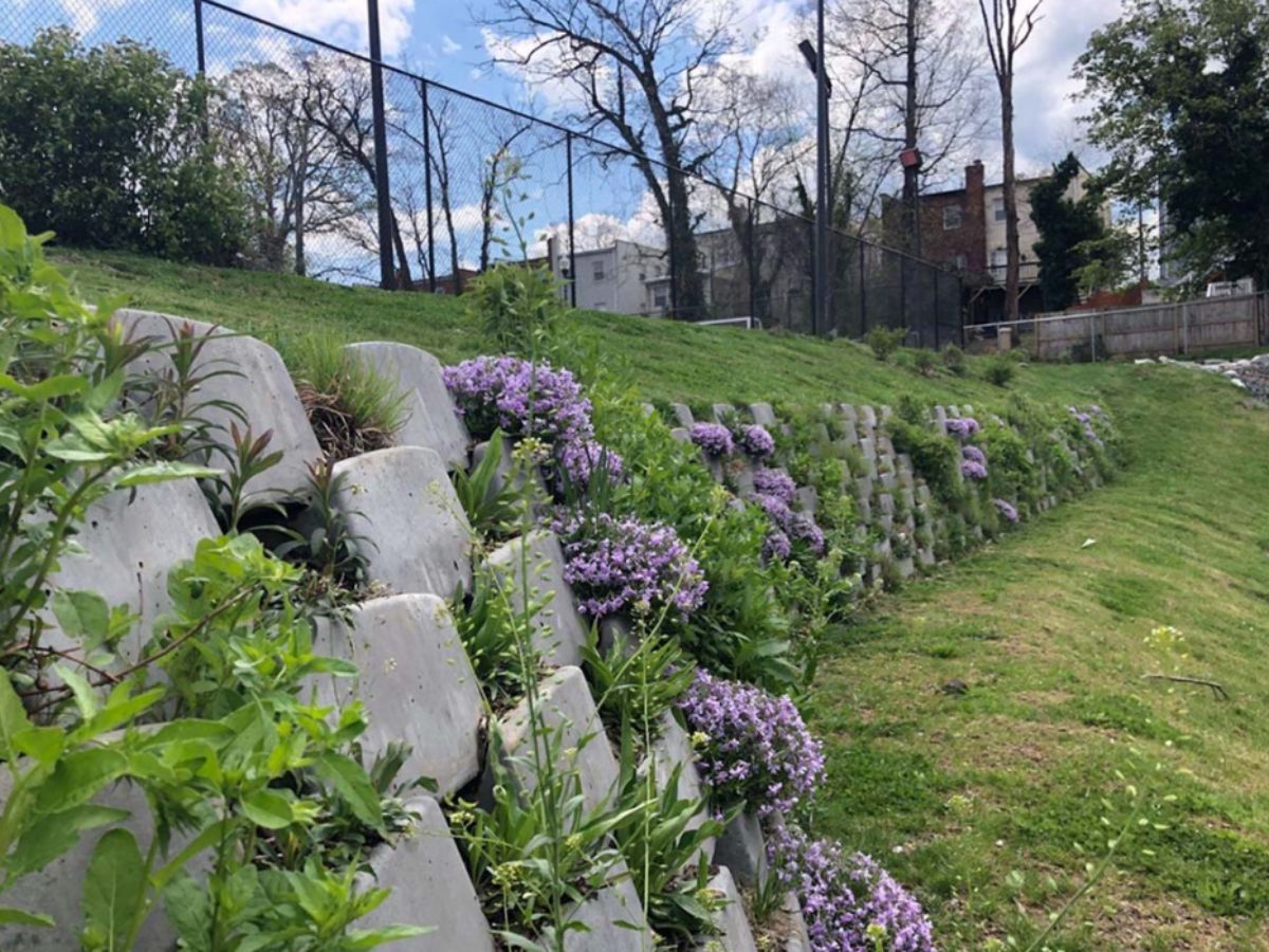 Image of Stormwater Draining
