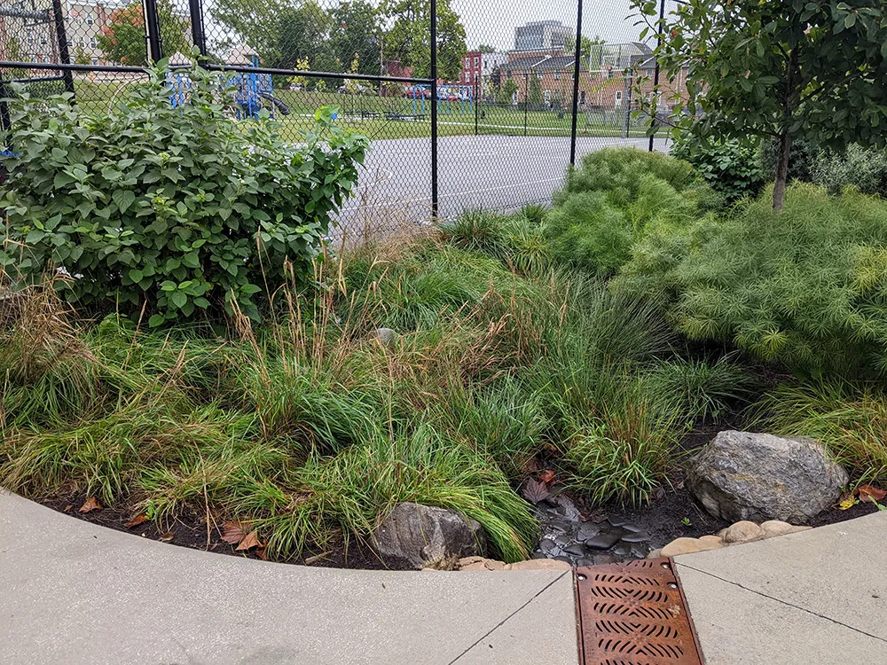Image of Stormwater drainage system
